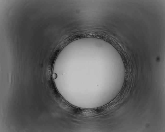 X0000100770707200806190933