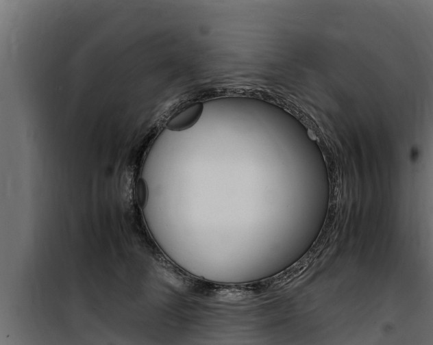 X0000100770708200806190933