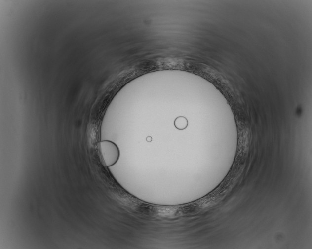 X0000100770709200806190933
