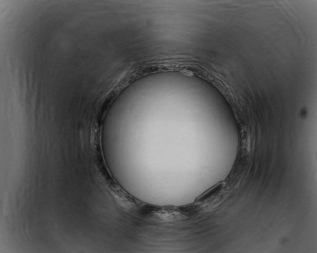 X0000100770712200806190933