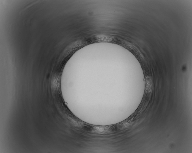 X0000100770713200806190933