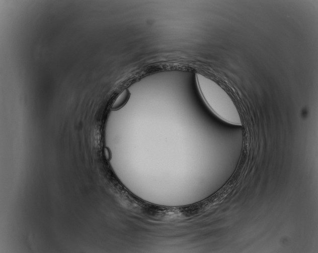 X0000100770715200806190933