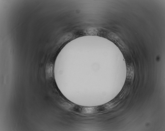 X0000100770717200806190933