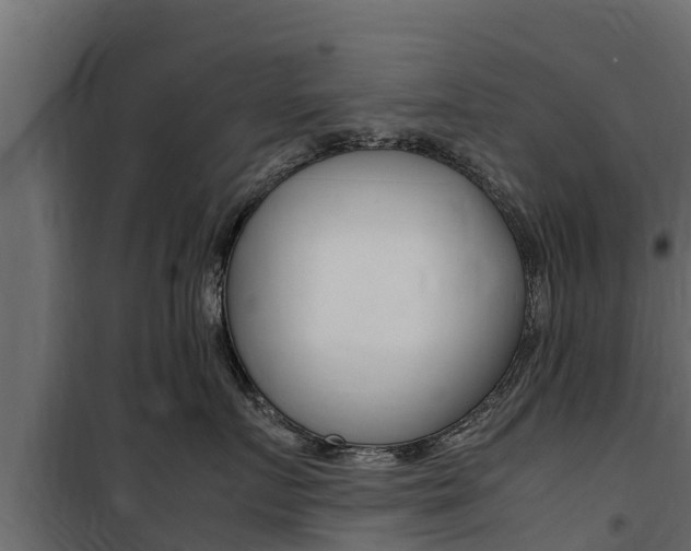 X0000100770719200806190933