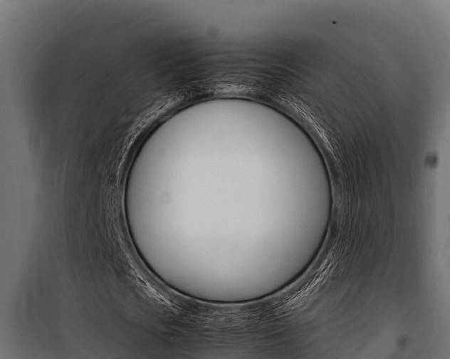 X0000100770721200806190932