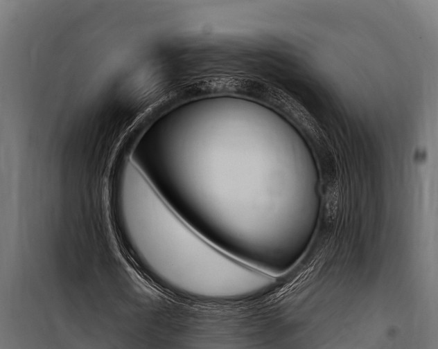 X0000100770722200806190932