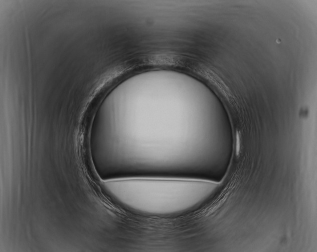 X0000100770723200806190932