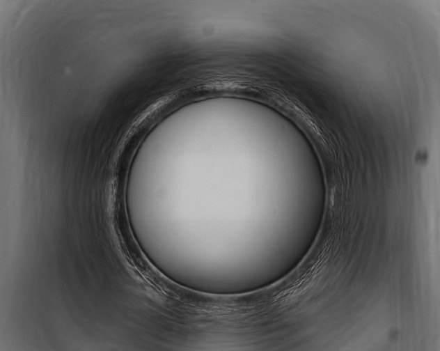 X0000100770724200806190932