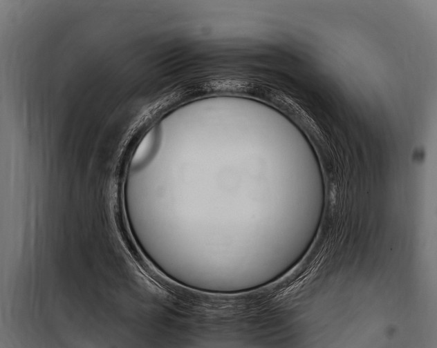 X0000100770725200806190932