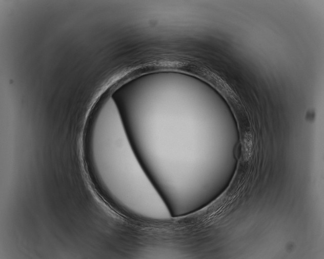 X0000100770726200806190932