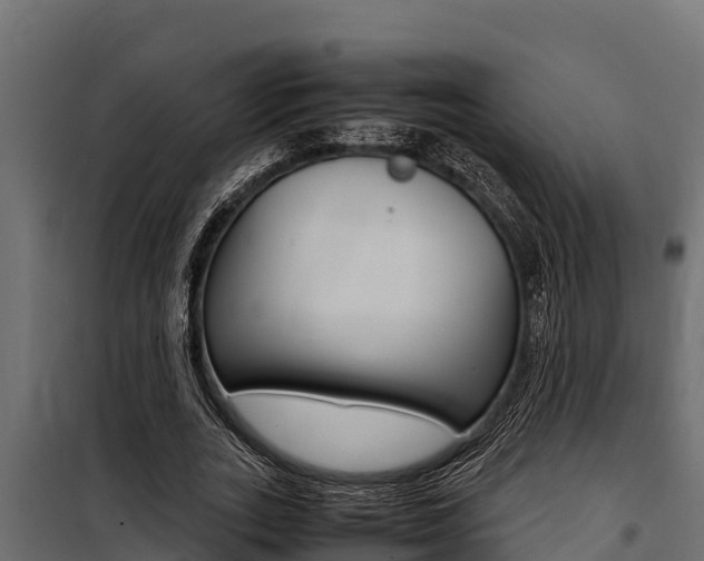X0000100770727200806190932