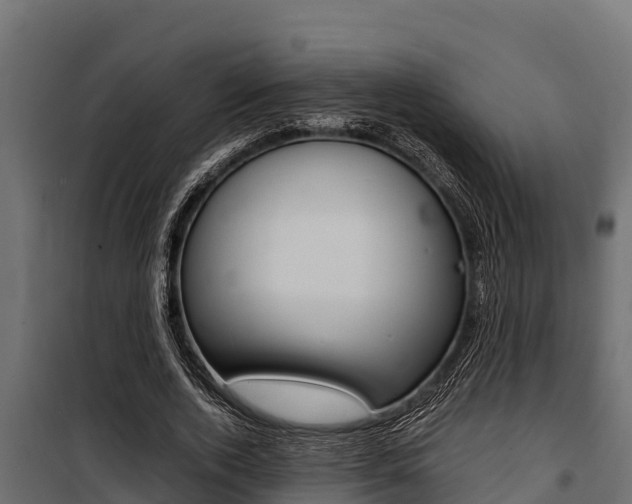 X0000100770728200806190932