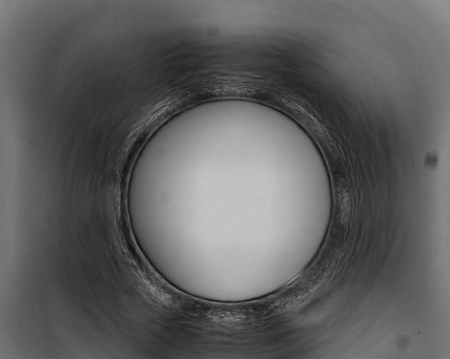 X0000100770729200806190932