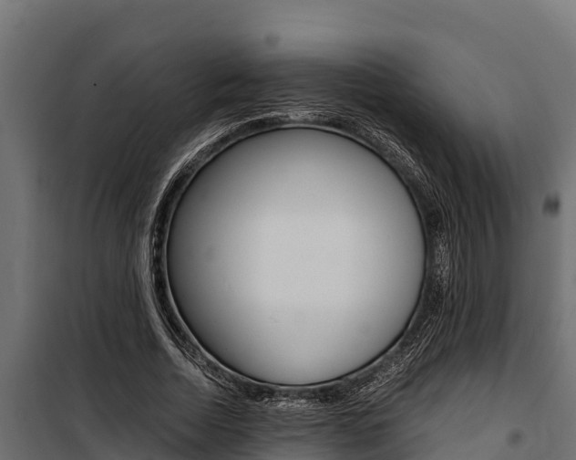 X0000100770730200806190932