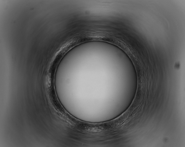 X0000100770731200806190932