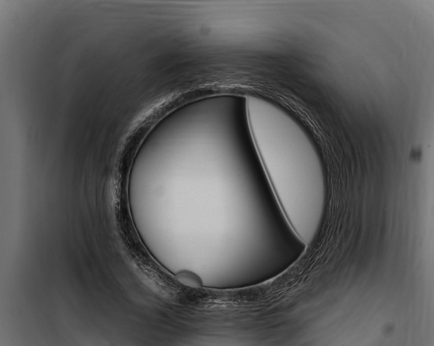 X0000100770732200806190932