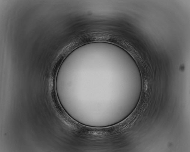 X0000100770733200806190932