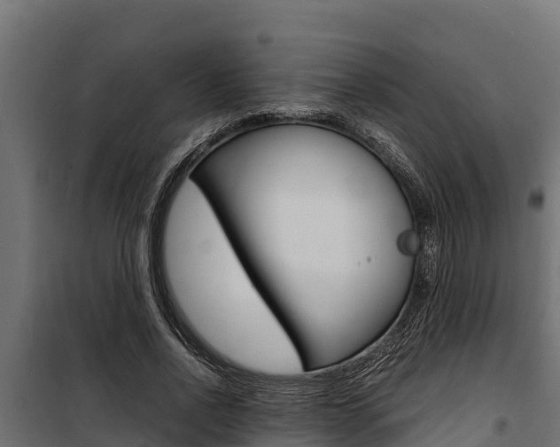 X0000100770734200806190932