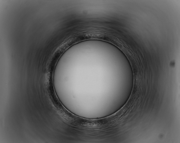 X0000100770735200806190932