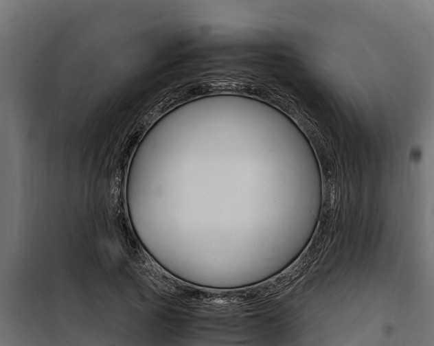 X0000100770737200806190932