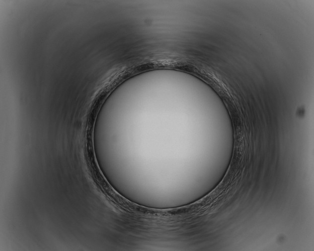 X0000100770738200806190932
