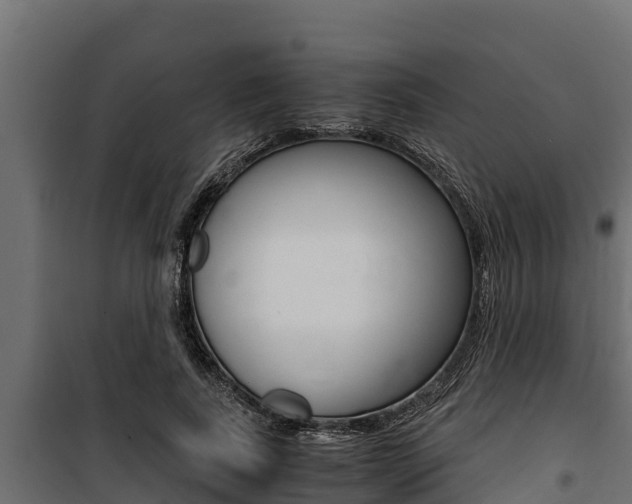 X0000100770739200806190932