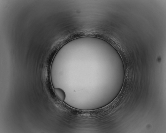 X0000100770740200806190932