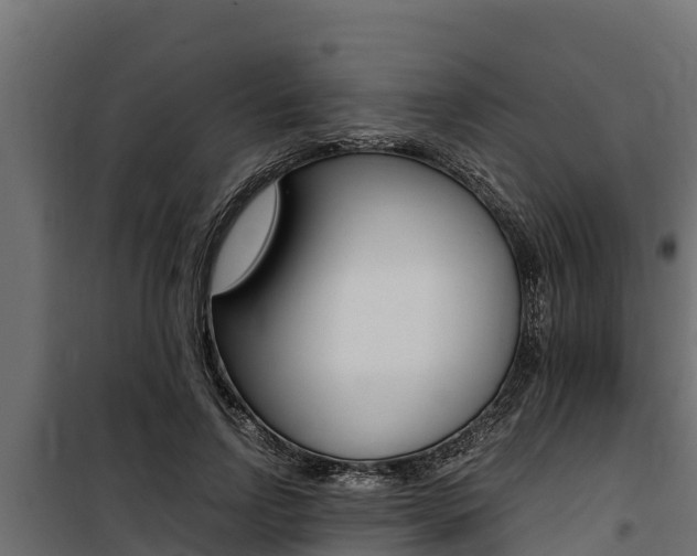 X0000100770742200806190932