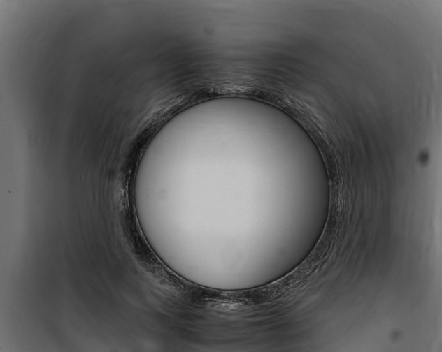 X0000100770743200806190932