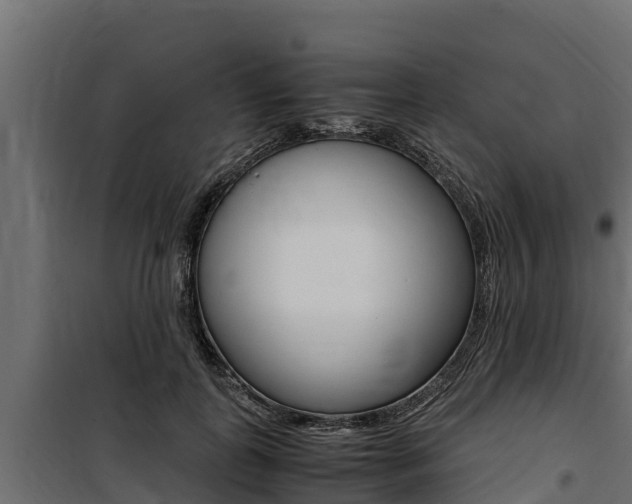 X0000100770747200806190932