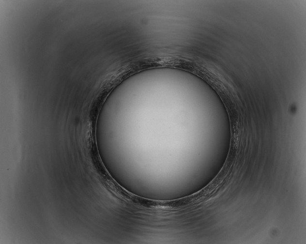 X0000100770748200806190932