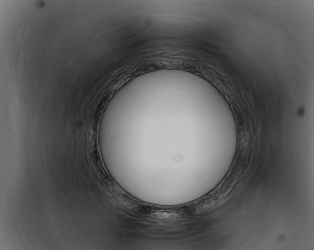 X0000100770749200806190932
