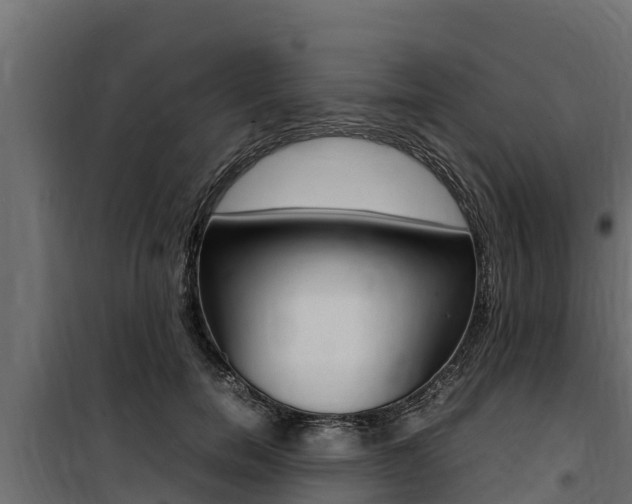 X0000100770750200806190932