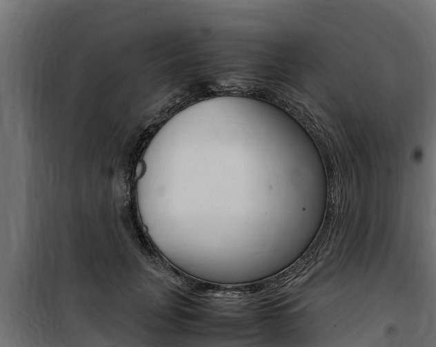 X0000100770751200806190932