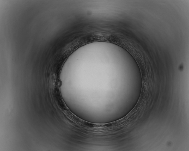 X0000100770752200806190932