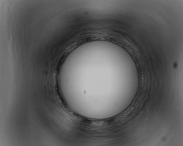 X0000100770757200806190932