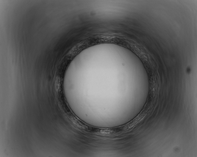 X0000100770758200806190932