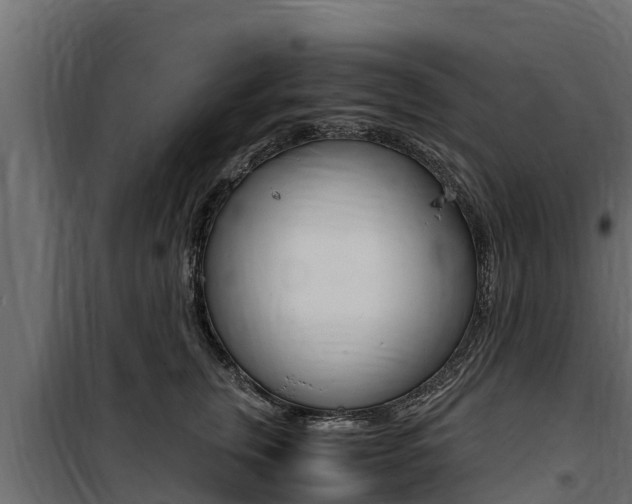 X0000100770759200806190932