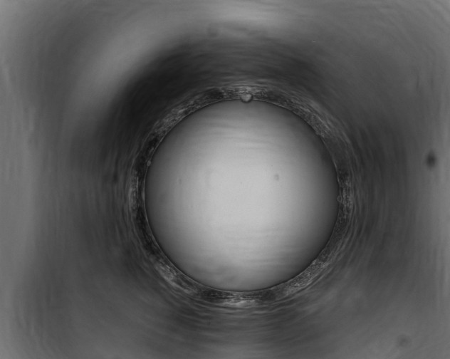 X0000100770760200806190932