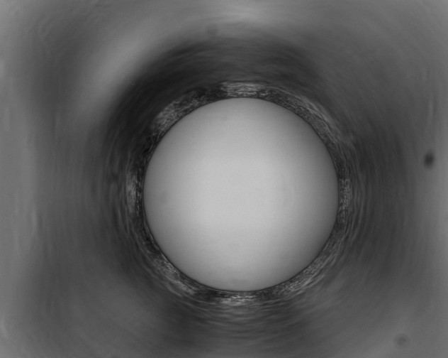 X0000100770761200806190933
