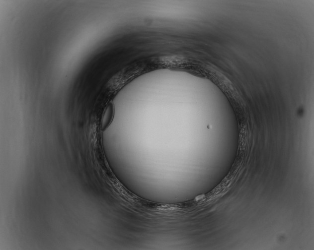 X0000100770762200806190933