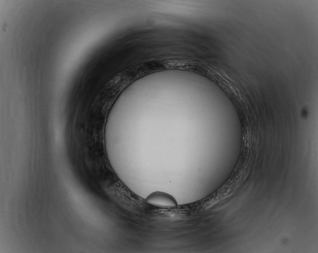 X0000100770763200806190933