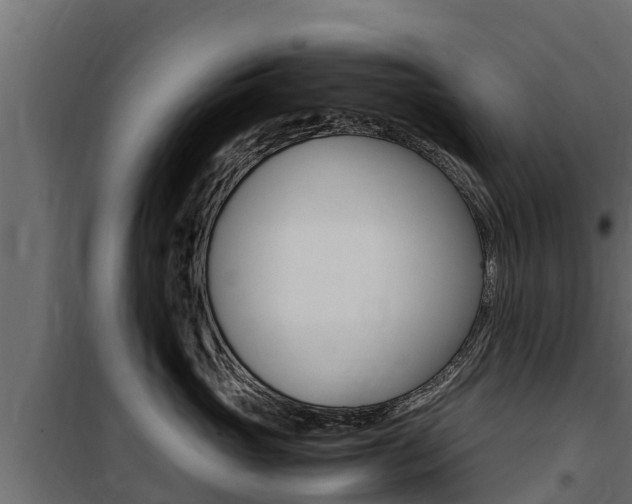 X0000100770765200806190933