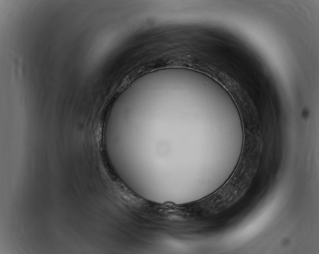 X0000100770767200806190933