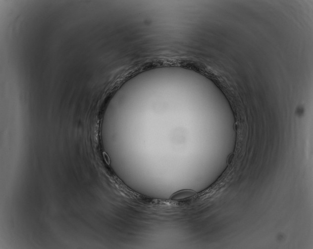 X0000100770768200806190933