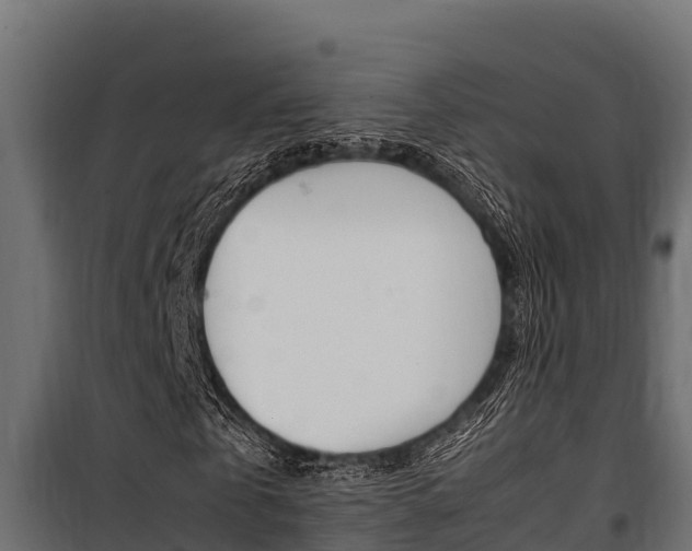 X0000100770769200806190932