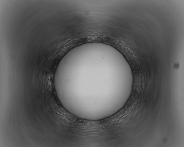 X0000100770770200806190932