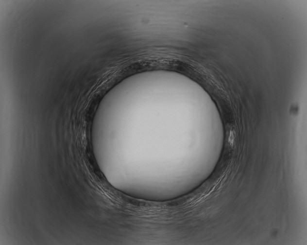 X0000100770771200806190932