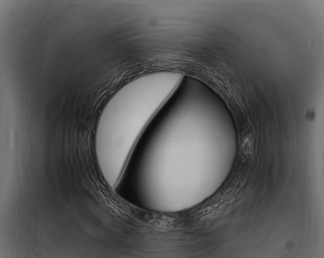 X0000100770772200806190932
