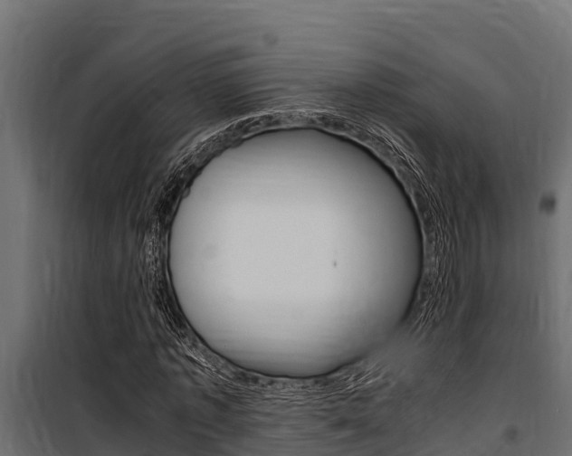 X0000100770773200806190932